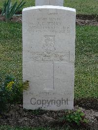Salonika (Lembet Road) Military Cemetery - Weeks, A E
